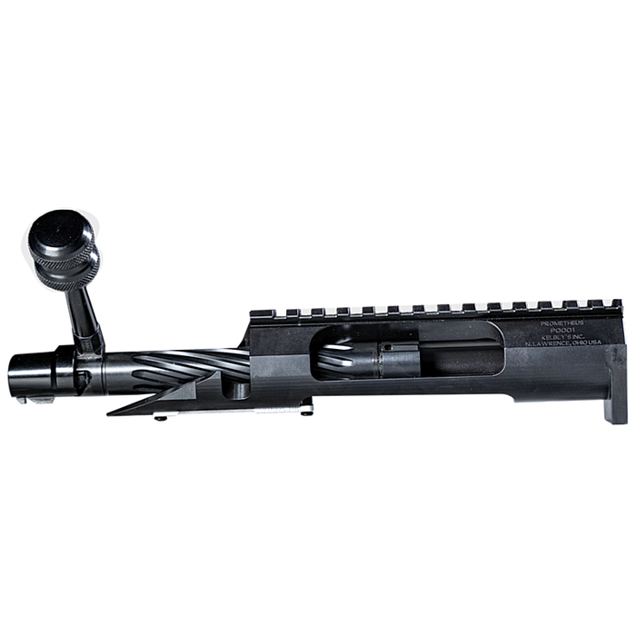 Kelbly's Prometheus Action .223